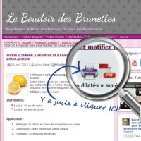 Nouveauté sur le blog : Imprimez les recettes Beauté « maison » dans un format tout beau tout propre !