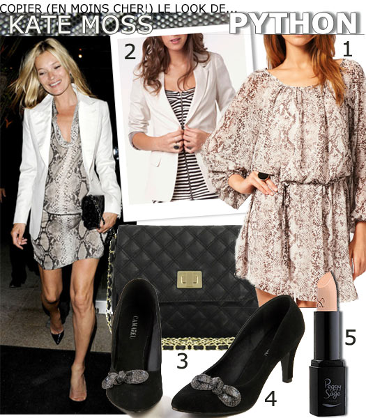 Look Python de Kate Moss